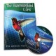 Carta Colibri - Carta que Flota (Hummingbird Card) con DVD