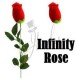 Rosa Infinita (Infinity Rose)