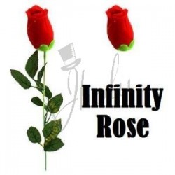 Rosa Infinita (Infinity Rose)