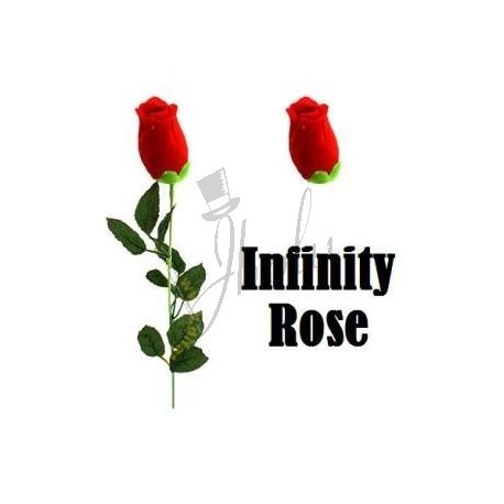 Rosa Infinita (Infinity Rose)