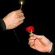 Fósforo a Rosa (Match to Rose)