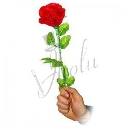 Rosa Realista (Realistic Rose)