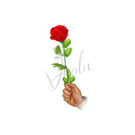 Rosa Realista (Realistic Rose)