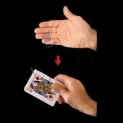 Productor de Cartas de Lujo (Cards Producer)