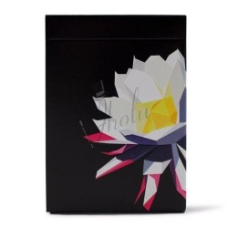 Carpe Noctem Deck by Chris Ramsay - Ellusionist