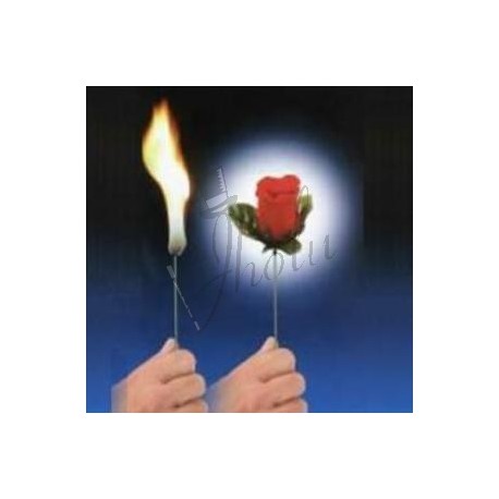 Antorcha a Flor (Torch to Rose)